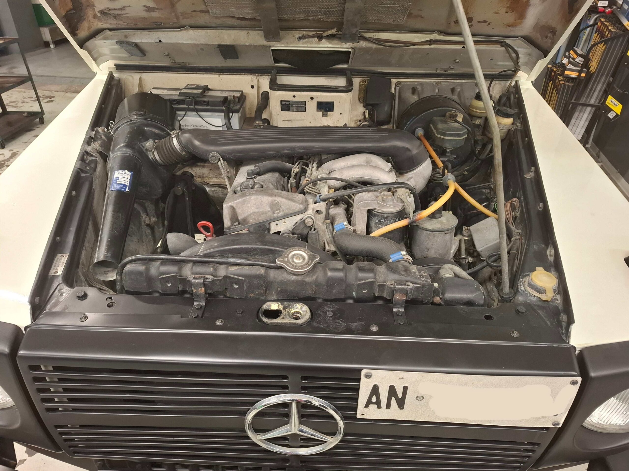 officina specializzata ancona