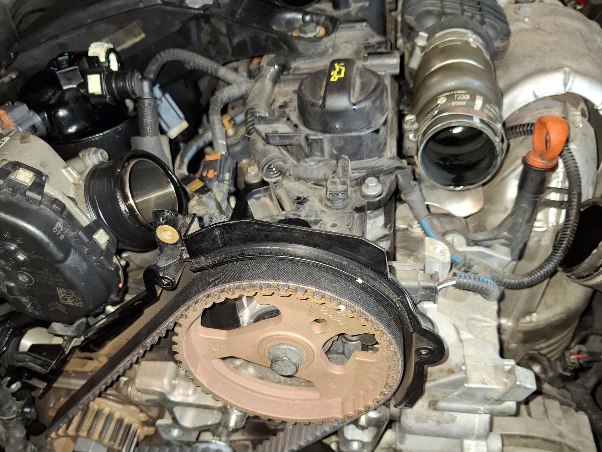 officina specializzata ancona